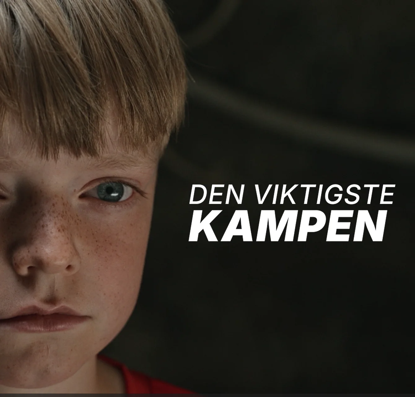 Den viktigste drakten